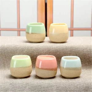 Mini Jelly Cartoon Succulent Flower Pot