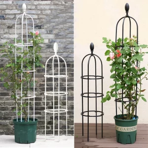 Climbing Plant Trellis